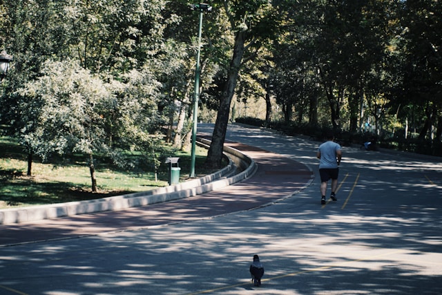 Ravestonvex inspiráció